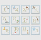 Katherine Kelly Designs Milestone Cards- Classic Boy