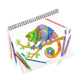 Ooly Switch-eroo! Color Changing Markers