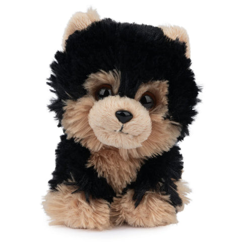 Boo & Friends Itty Bitty Yorkie