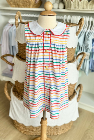 Sage & Lilly Colorful Stripe Button Front Dress
