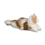 Douglas Kiki Ragdoll Cat